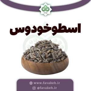 اسطوخودوس