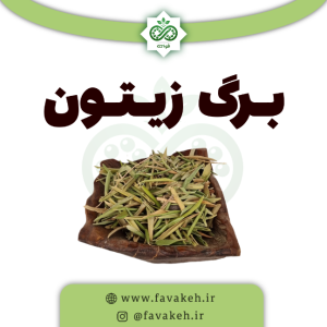 برگ زیتون فواکه