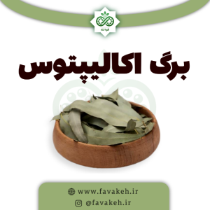 برگ اکالیپتوس فواکه