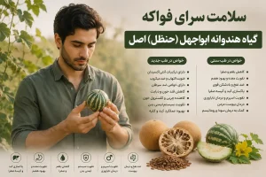 کاربرد درمانی هندوانه ابوجهل