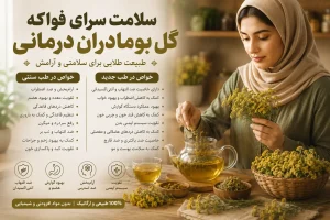 کاربرد درمانی گل بومادران