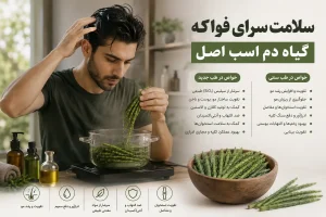 کاربرد گیاه دم اسبی فواکه