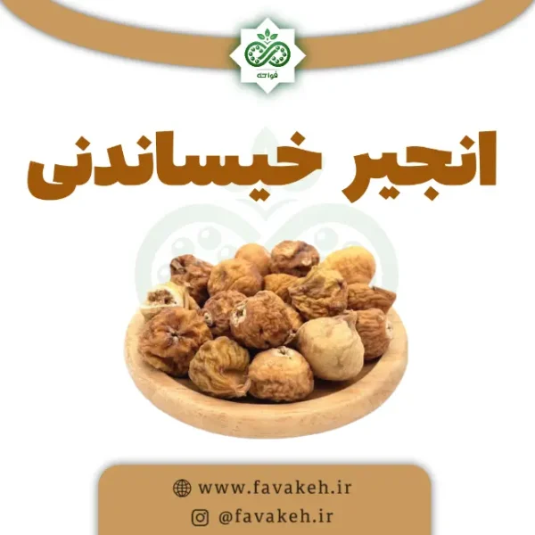 انجیر خیساندنی