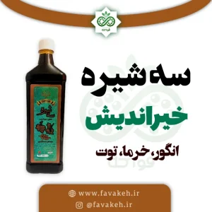 سه شیره حکیم خیراندیش یک کیلویی