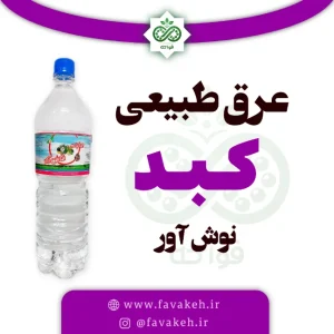 عرق کبد