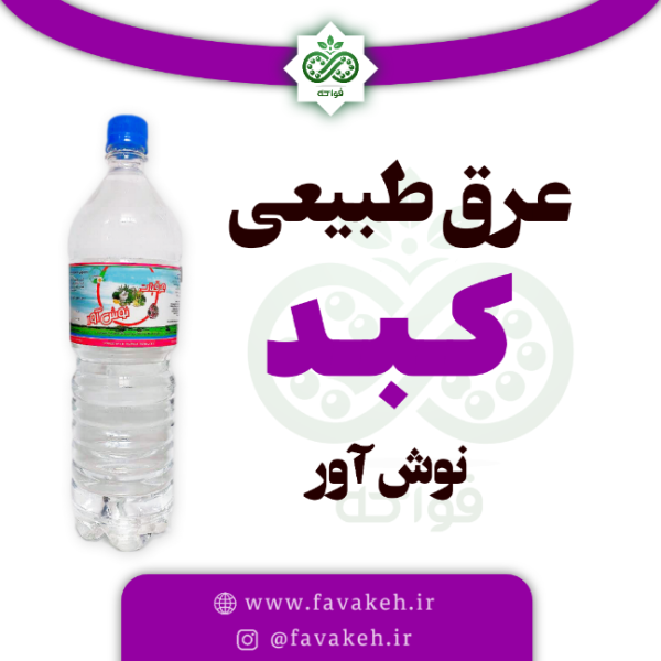 عرق کبد