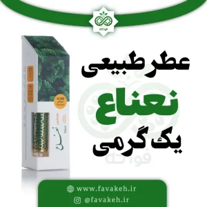 عطر نعناع یک گرمی