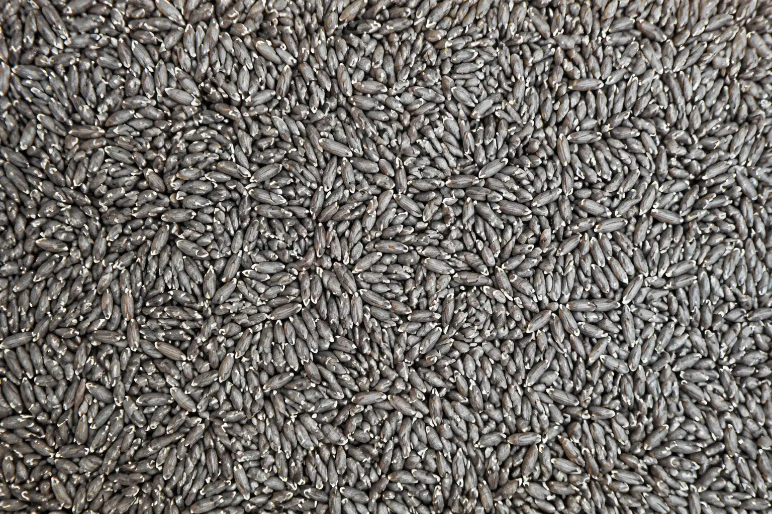flaxseed