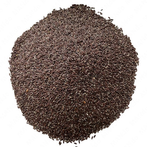 بزرک سیاه چیست