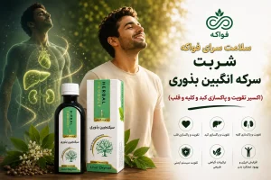 سکنجبین بذوری خیراندیش کاربرد