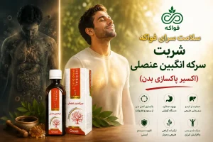سکنجبین عنصلی خیراندیش کاربرد