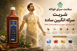 کاربرد سکنجبین ساده خیراندیش