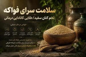تخم کتان سفید، زرد کانادایی