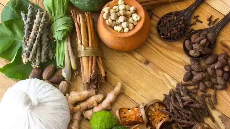 گیاهان دارویی برای لاغری