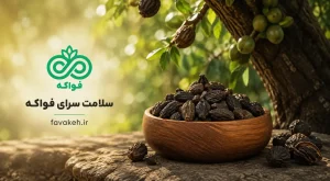 هلیله سیاه خشک کنار درخت