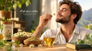خواص بابونه آلمانی