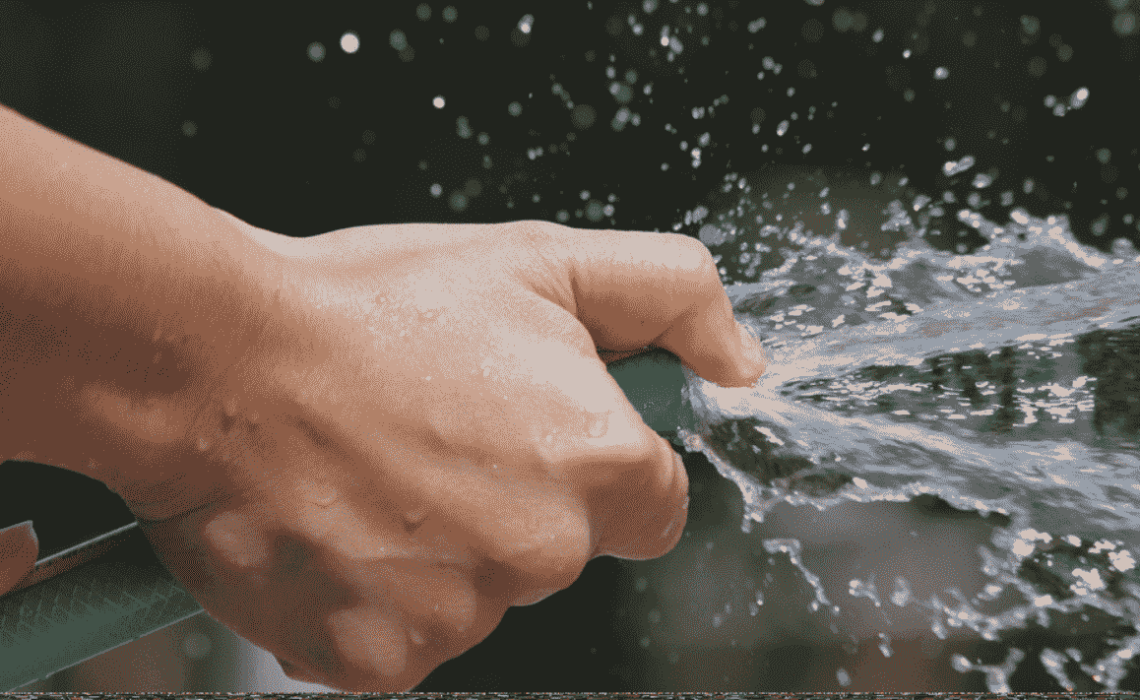 ببب