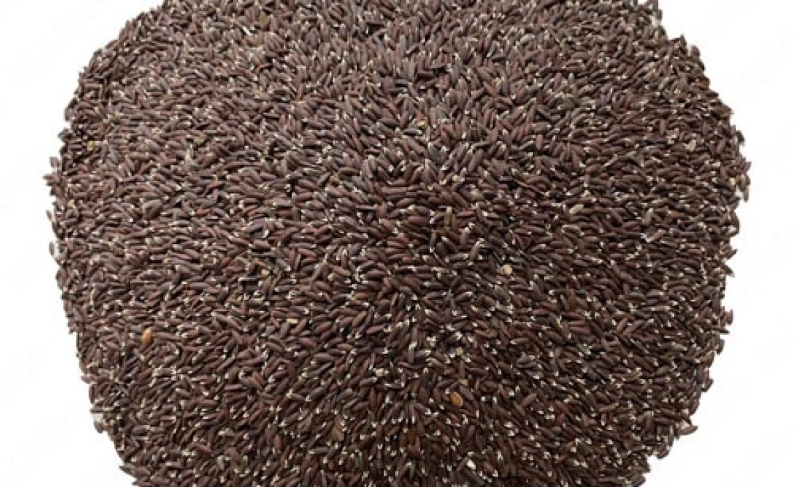 بزرک سیاه چیست