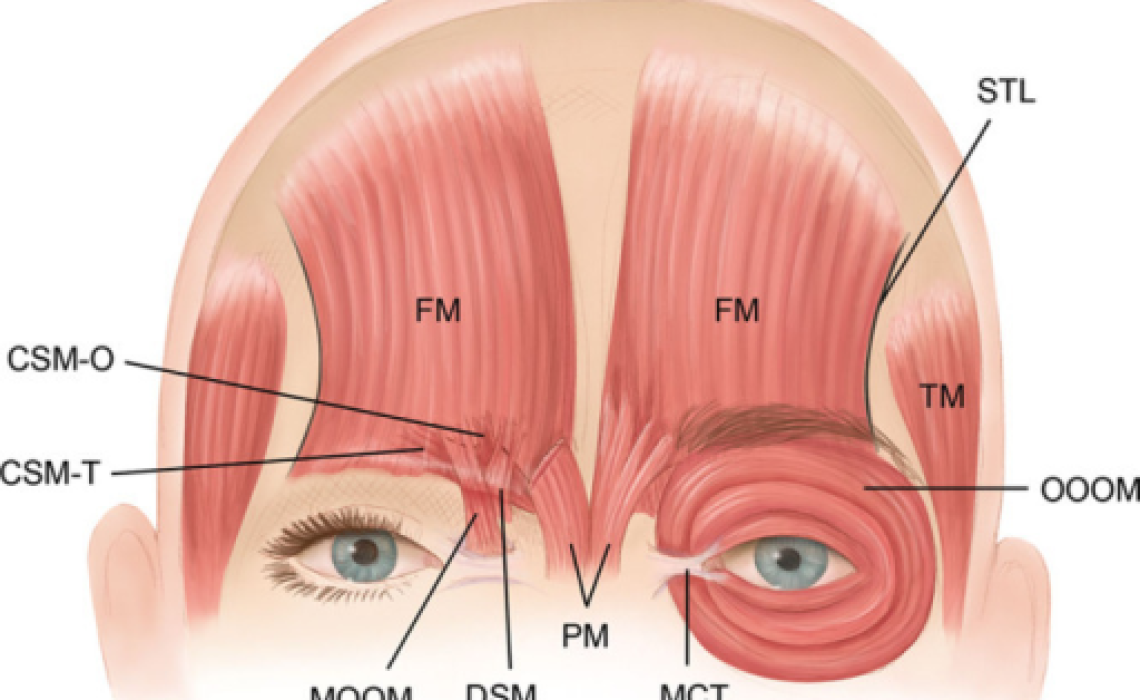 massage+for+headache
